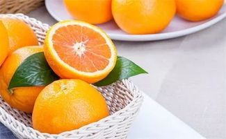 橙心橙意，碧桂園新年派橙 科技引領(lǐng)，品味創(chuàng)新吃橙新高度