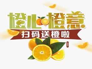 橙心橙意加盟費用解析 總投資7.98萬元起，詳細費用構成與加盟支持一覽