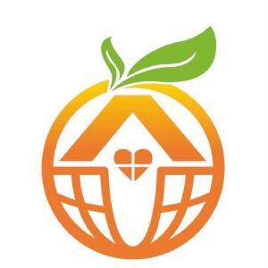 心橙科技 以數字橋梁連接智慧未來
