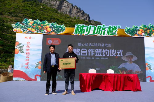 鄉村振興壟上行，秭歸臍橙齊開園——心橙科技助力產業振興